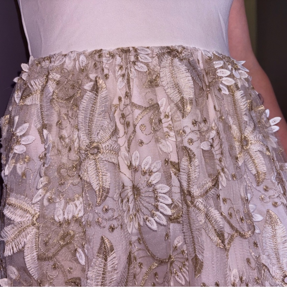 Elegant Gold Embroidered dress